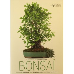 Bonsaï