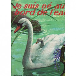 Je suis né au bord de l'eau