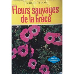 Fleurs sauvages de la Grèce