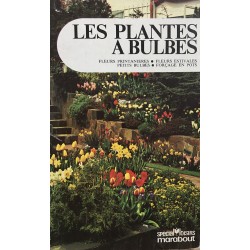 Les plantes à bulbes