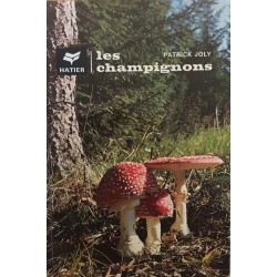 Les champignons