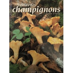 Atlas des champignons