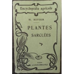 Plantes sarclées : pomme de...