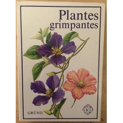 Plantes grimpantes