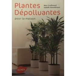 Plantes dépolluantes pour...