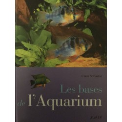 Les bases de l'Aquarium