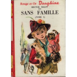 Sans-famille tome 1