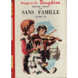 Sans-famille tome 2