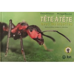 Tête-à-tête avec les insectes